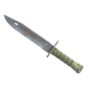 ★ Bayonet | Rust Coat (Well-Worn)
