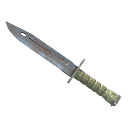 ★ Bayonet | Rust Coat (Well-Worn)