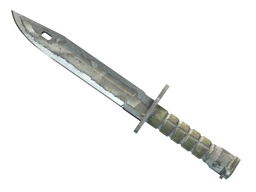 ★ Bayonet | Urban Masked
