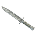 ★ Bayonet | Urban Masked (Well-Worn)