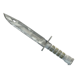 ★ Bayonet | Urban Masked (Well-Worn)