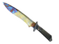 ★ Classic Knife | Case Hardened