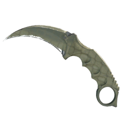 ★ StatTrak™ Karambit | Safari Mesh (Field-Tested)
