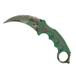 ★ Karambit | Boreal Forest (Minimal Wear)