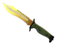 ★ Bowie Knife | Lore (Factory New)