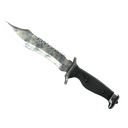 ★ Bowie Knife | Stained (Battle-Scarred)