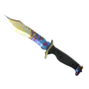 ★ Bowie Knife | Case Hardened (Well-Worn)
