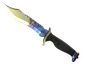 ★ Bowie Knife | Case Hardened (Factory New)