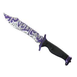 ★ Bowie Knife | Freehand (Field-Tested)