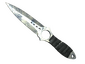 ★ Skeleton Knife | Stained (Battle-Scarred)