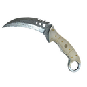★ Talon Knife | Damascus Steel (Well-Worn)