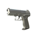 P2000 | Silver (Minimal Wear)