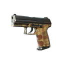 P2000 | Coach Class (Battle-Scarred)