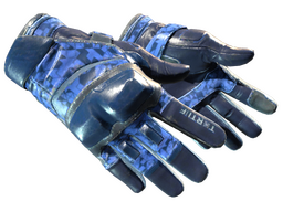 ★ Moto Gloves | Polygon (Field-Tested)