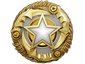 2025 Service Medal