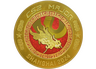 Shanghai 2024 Gold Coin
