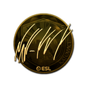 Sticker | NAF (Gold) | Katowice 2019