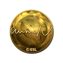 Sticker | aumaN (Gold) | Katowice 2019