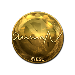 Sticker | aumaN (Gold) | Katowice 2019