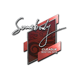Sticker | somebody | Boston 2018