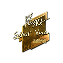 Sticker | flusha (Gold) | Boston 2018