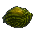 Ripe Watermelon - Rust-Skin für Stein