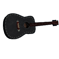 Acoustic Guitar