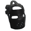 Carbon Facemask