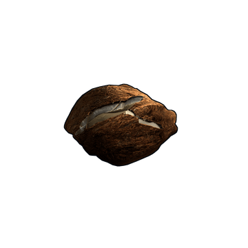 Coconut Rock – skin Rock w Rust
