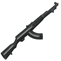 Training SKS image