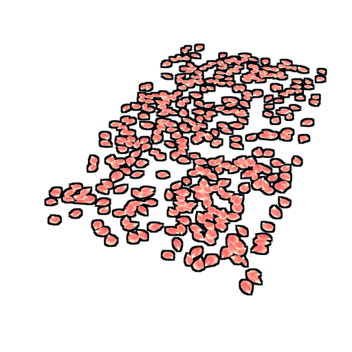 Rose Pedals Rug image