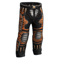 The Tiger Pants image