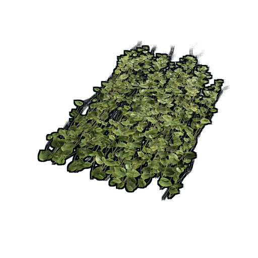 Jungle Ivy image