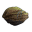 Pixel Rock