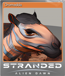 Dromadda
