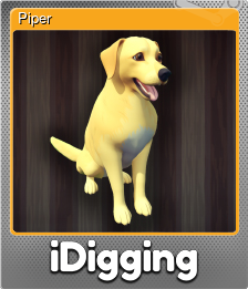 Piper