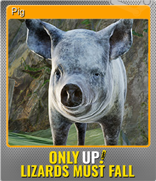 Pig