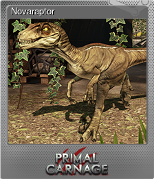 Novaraptor