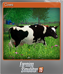 Cows