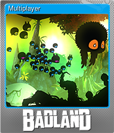 Multiplayer