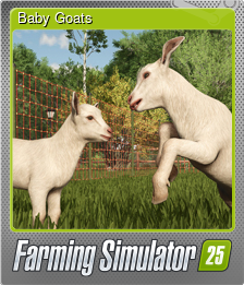 Baby Goats