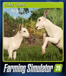 Baby Goats