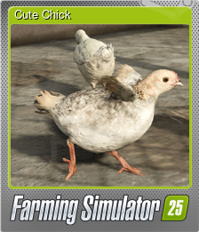 Cute Chick