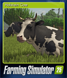 Holstein Cow