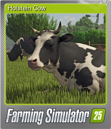 Holstein Cow