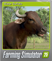 Water Buffalo
