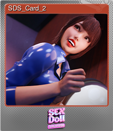 SDS_Card_2