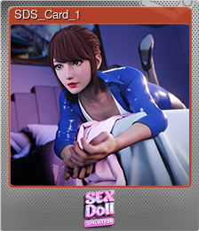 SDS_Card_1