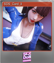 SDS_Card_3