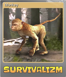 Monkey